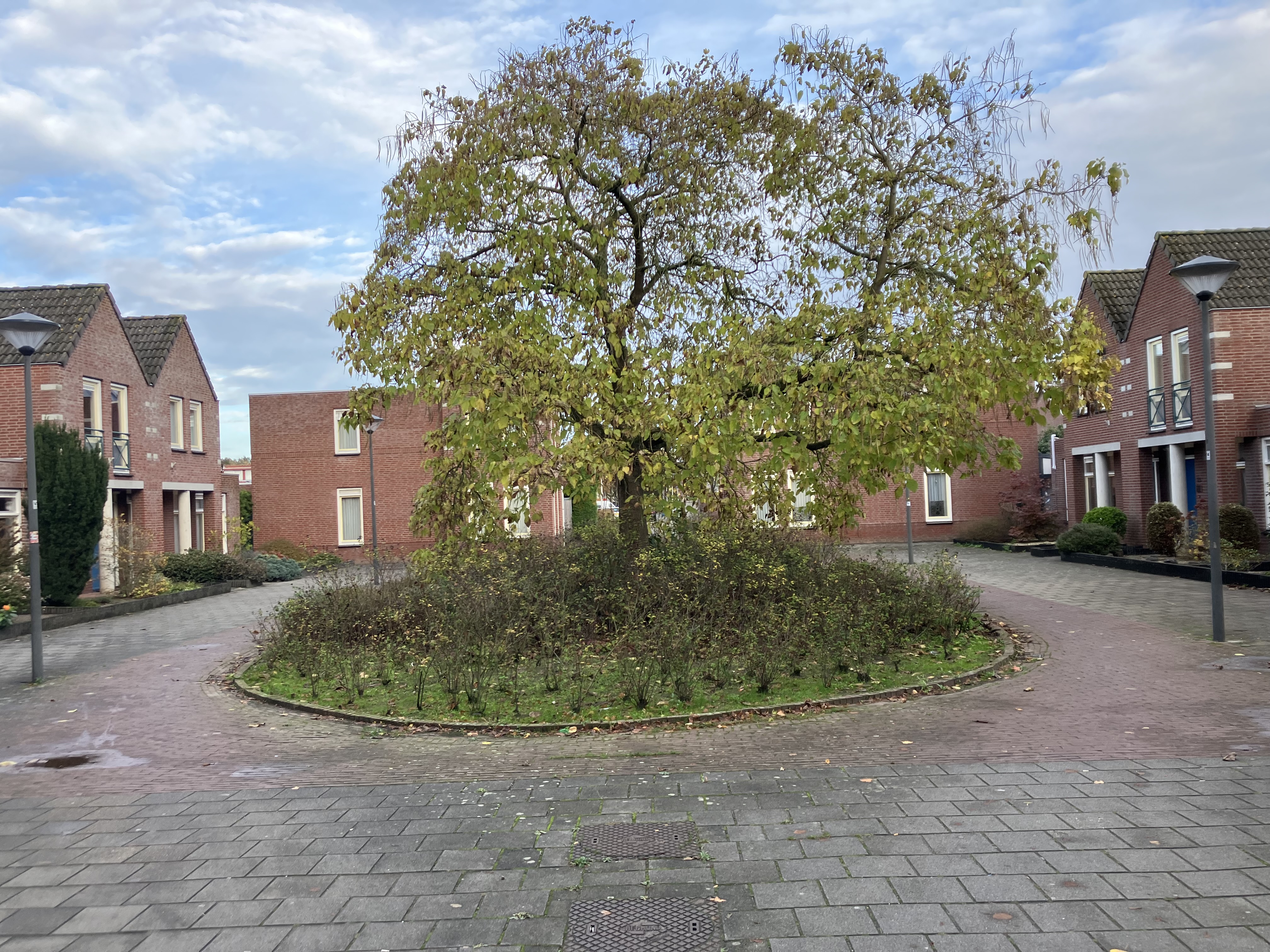 Notehoutstraat 3