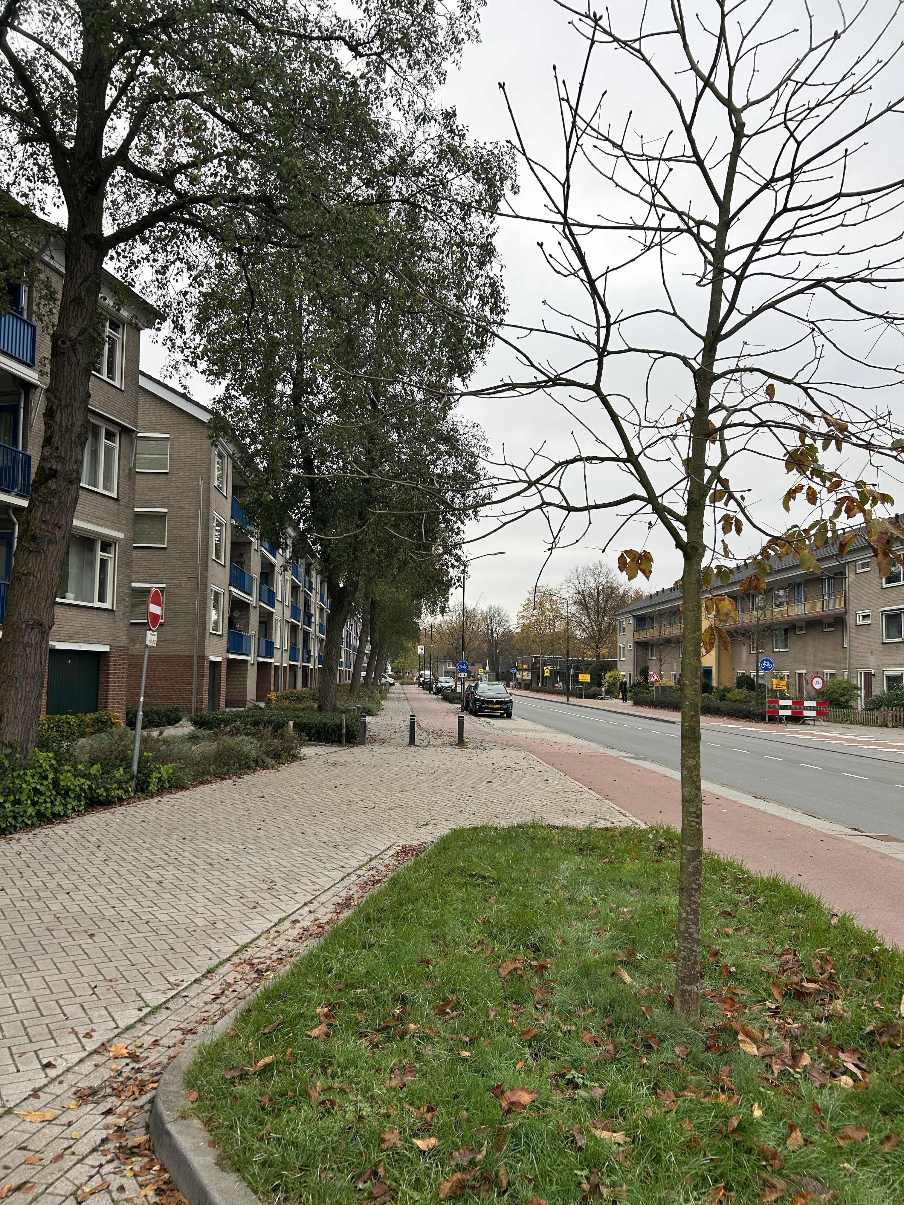 Nieuwe Waalreseweg 228