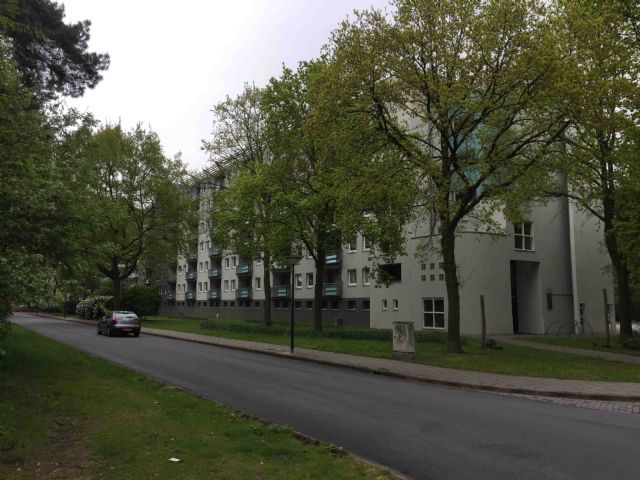 Livingstonestraat 55