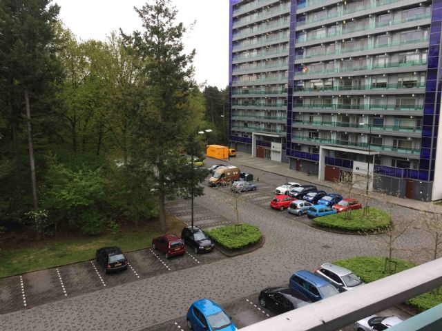 Livingstonestraat 55