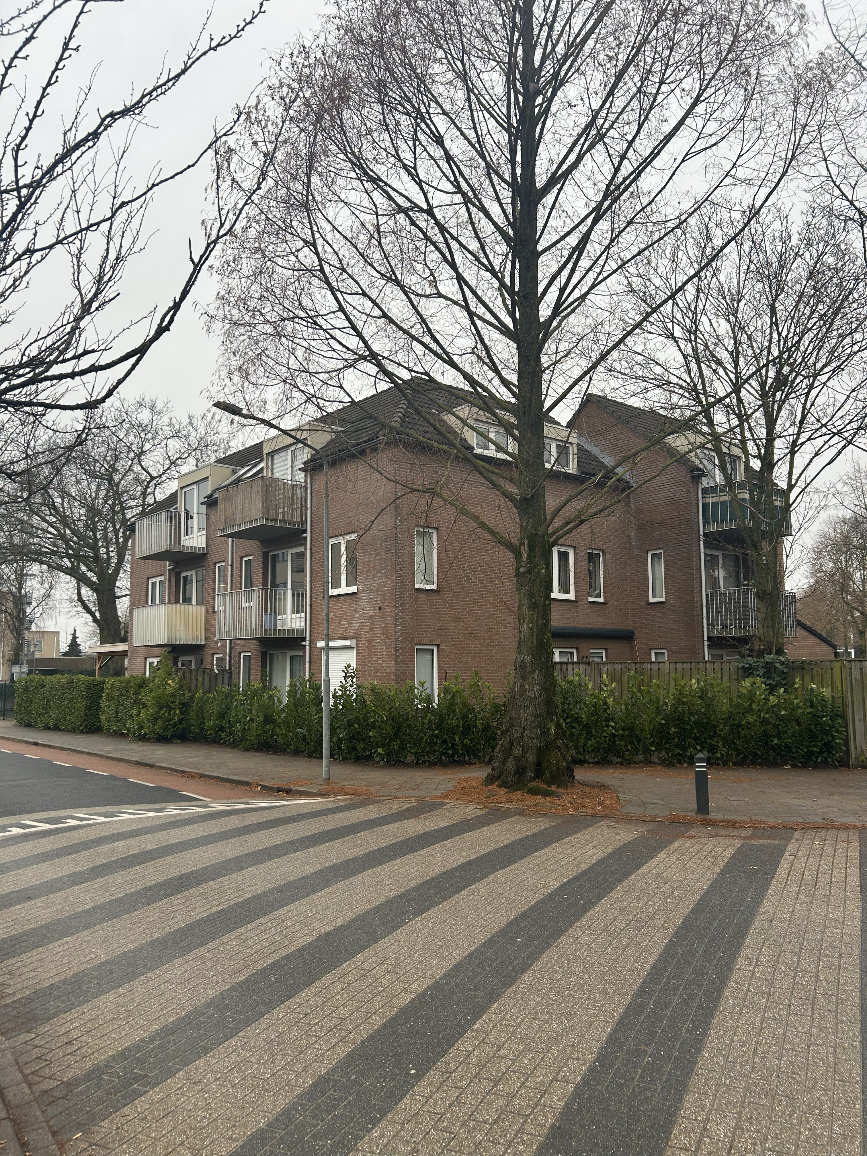 Molenstraat 24M