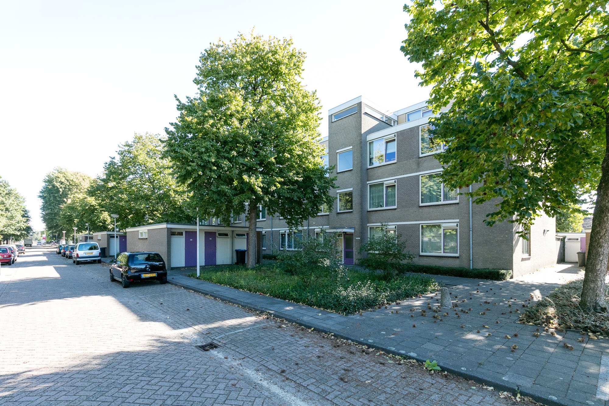 Willem de Zwijgerweg 239, 5684 SH Best, Nederland