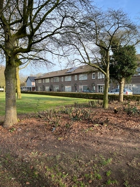 Drossard de la Courtstraat 75