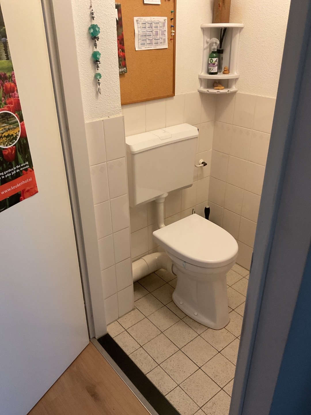 Pieter de Hooghstraat 51