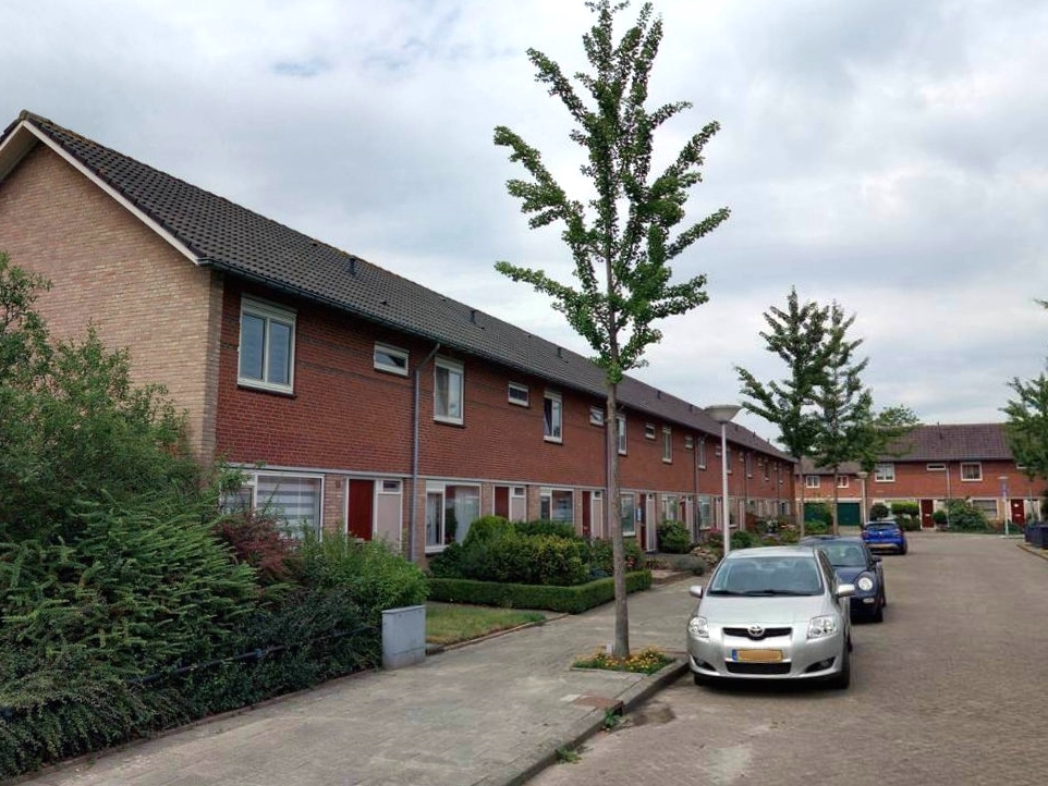 Boekweitstraat 8