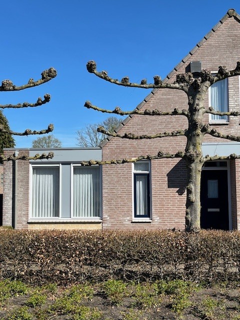 Meester Derksstraat 23, 5425 PK De Mortel, Nederland
