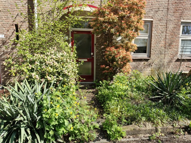 Zuring 15, 5521 MV Eersel, Nederland