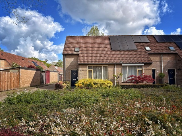 Geulplantsoen 1
