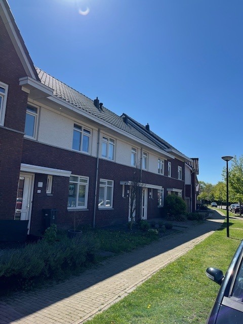 Knelisroos 16