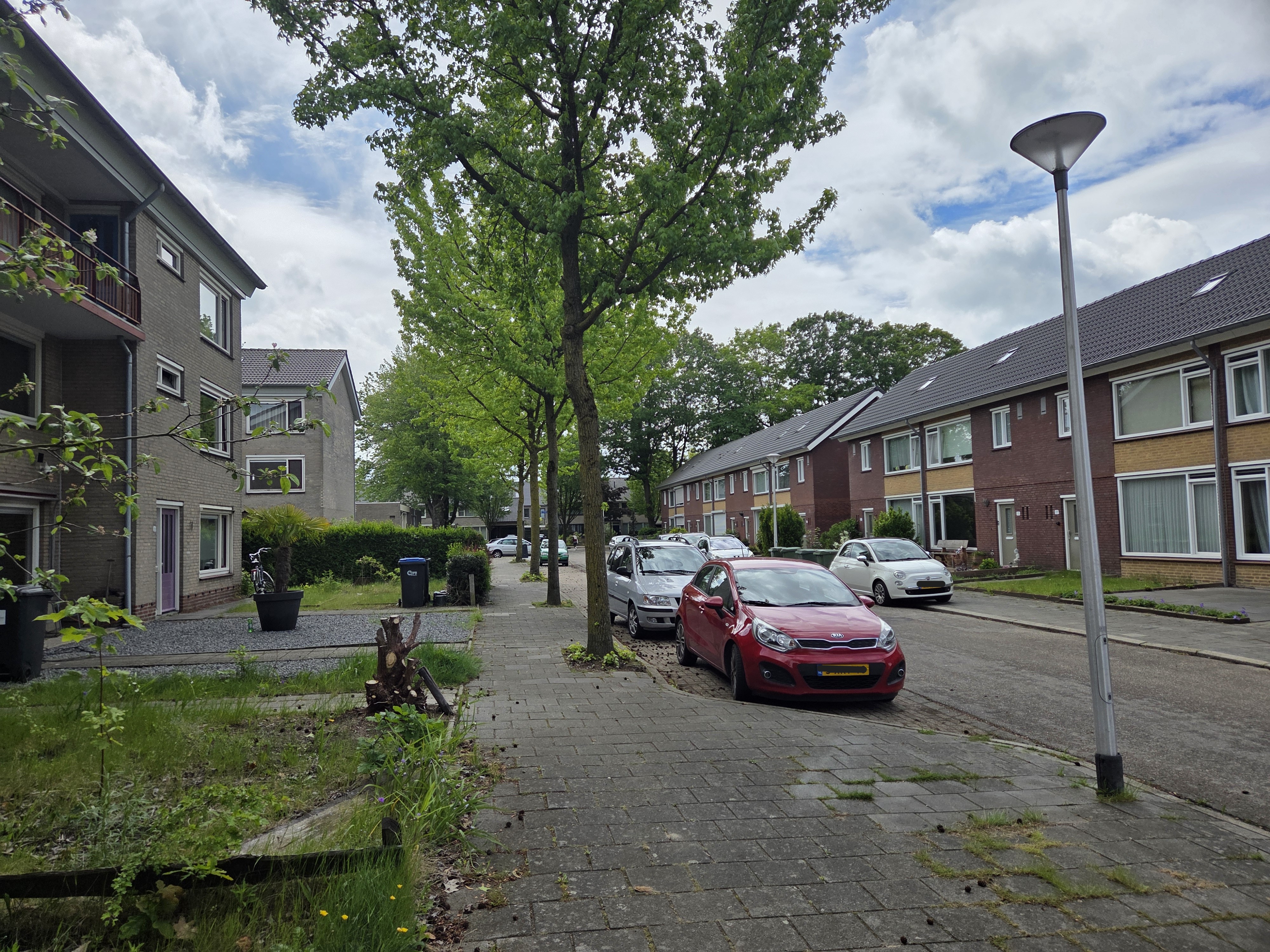 Doornappelstraat 12