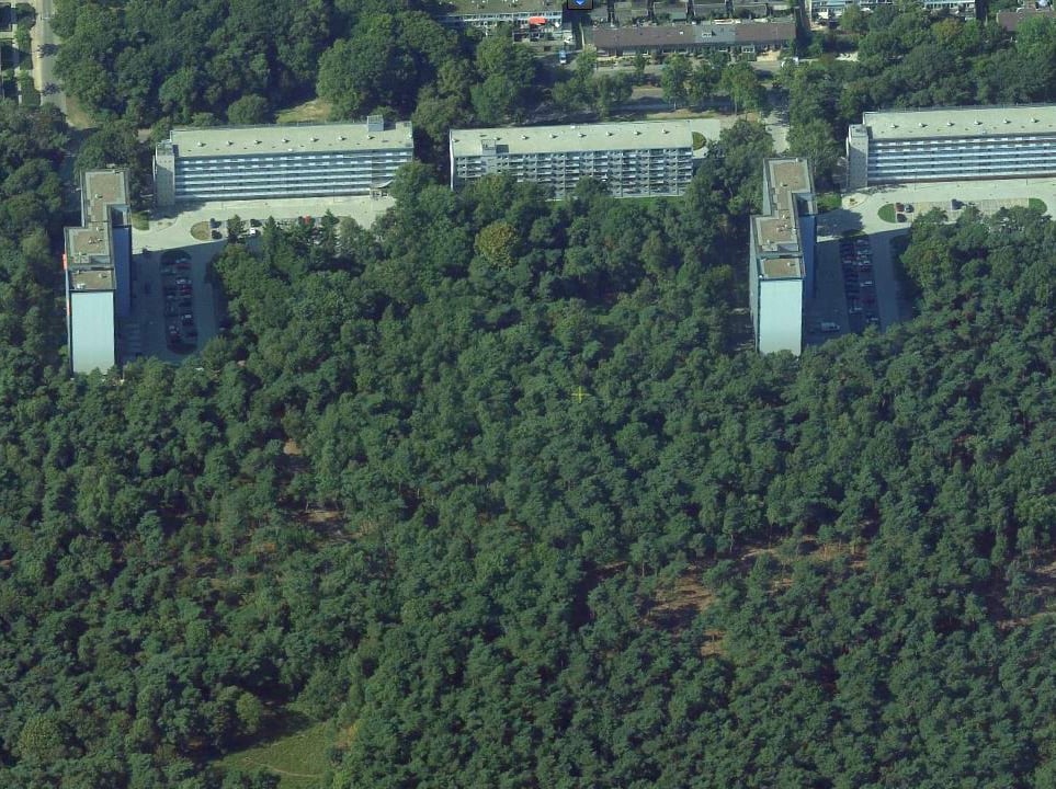 Carpinistraat 68