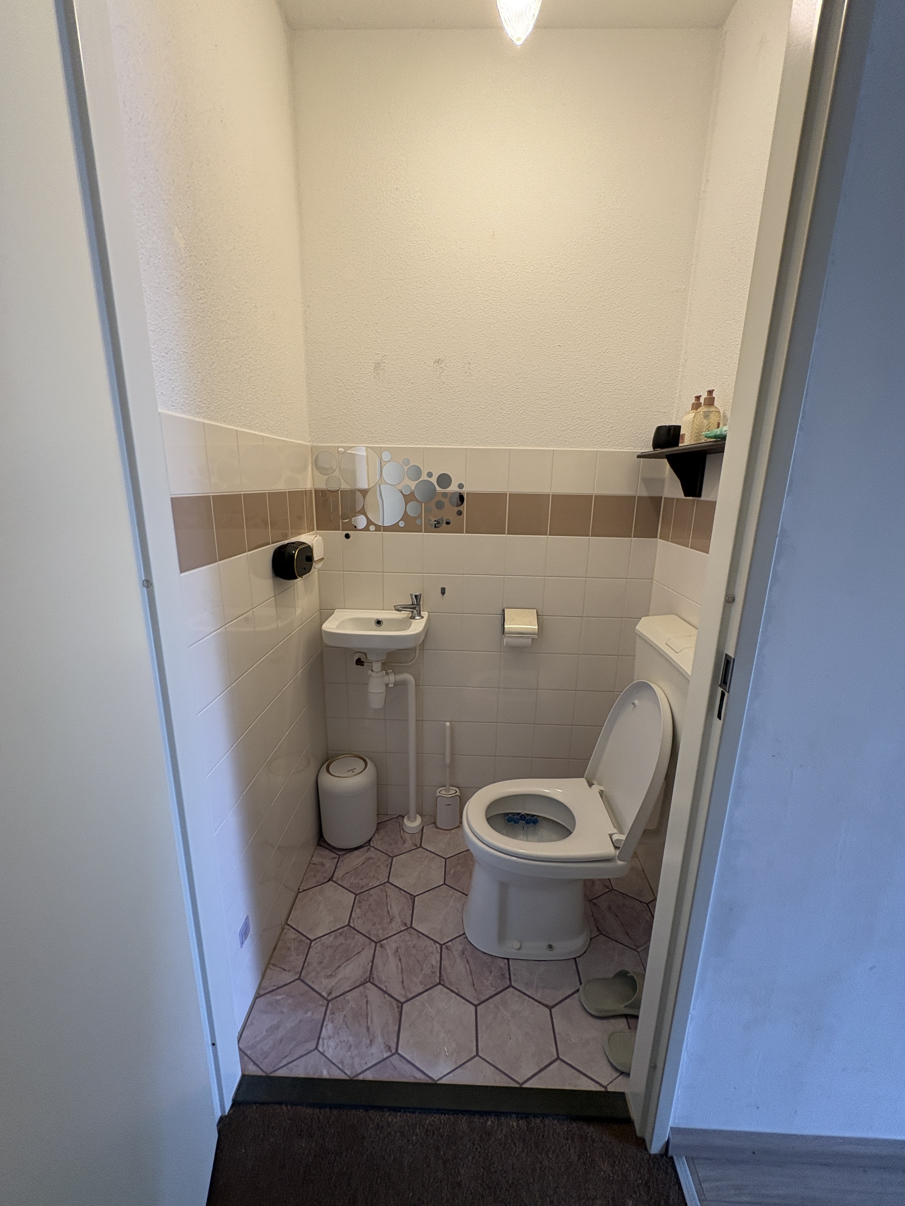 Zandloopkever 31