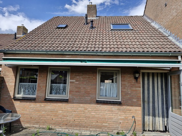 Boterbloem 12