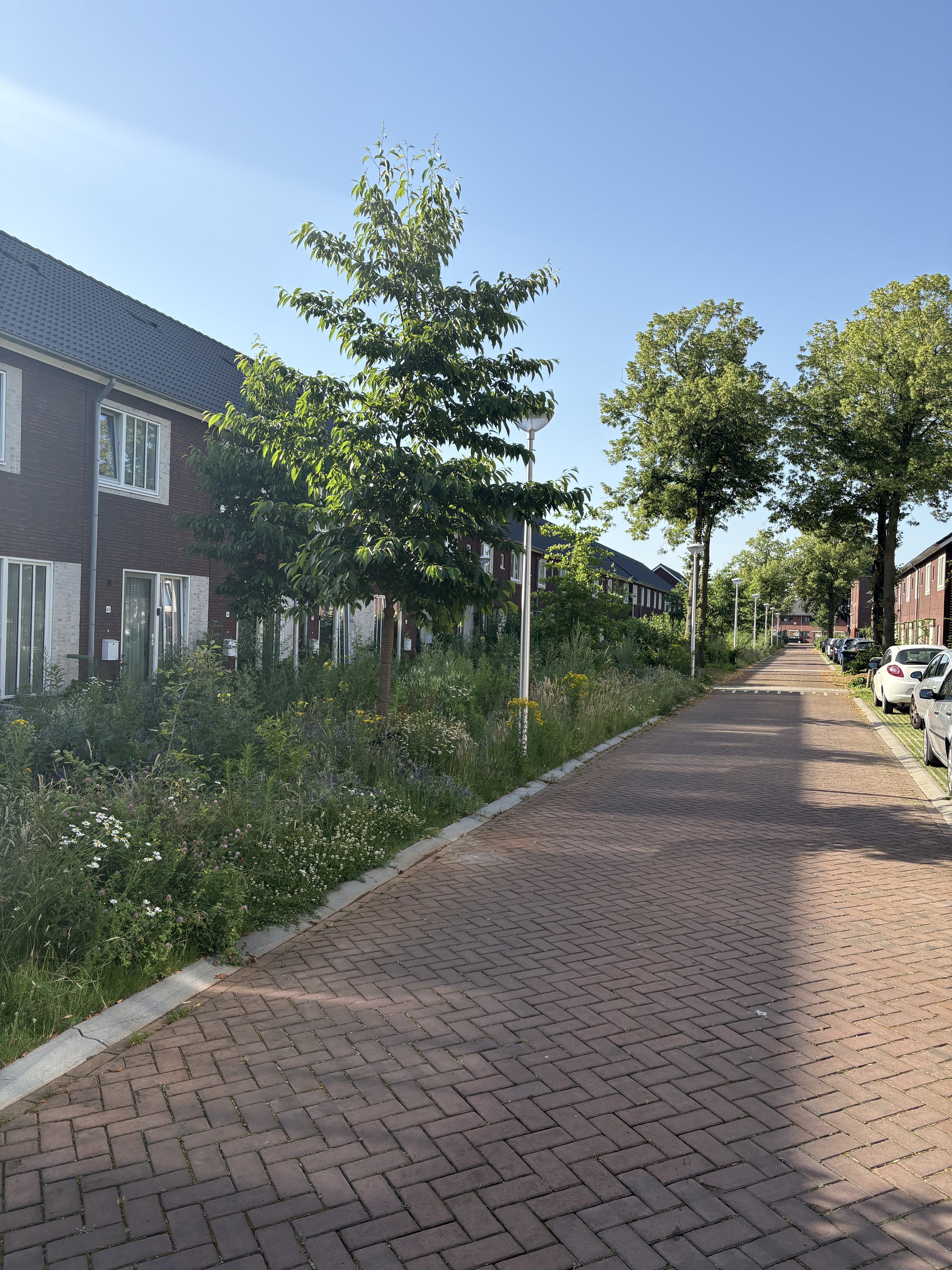 Antony Moddermanstraat 39