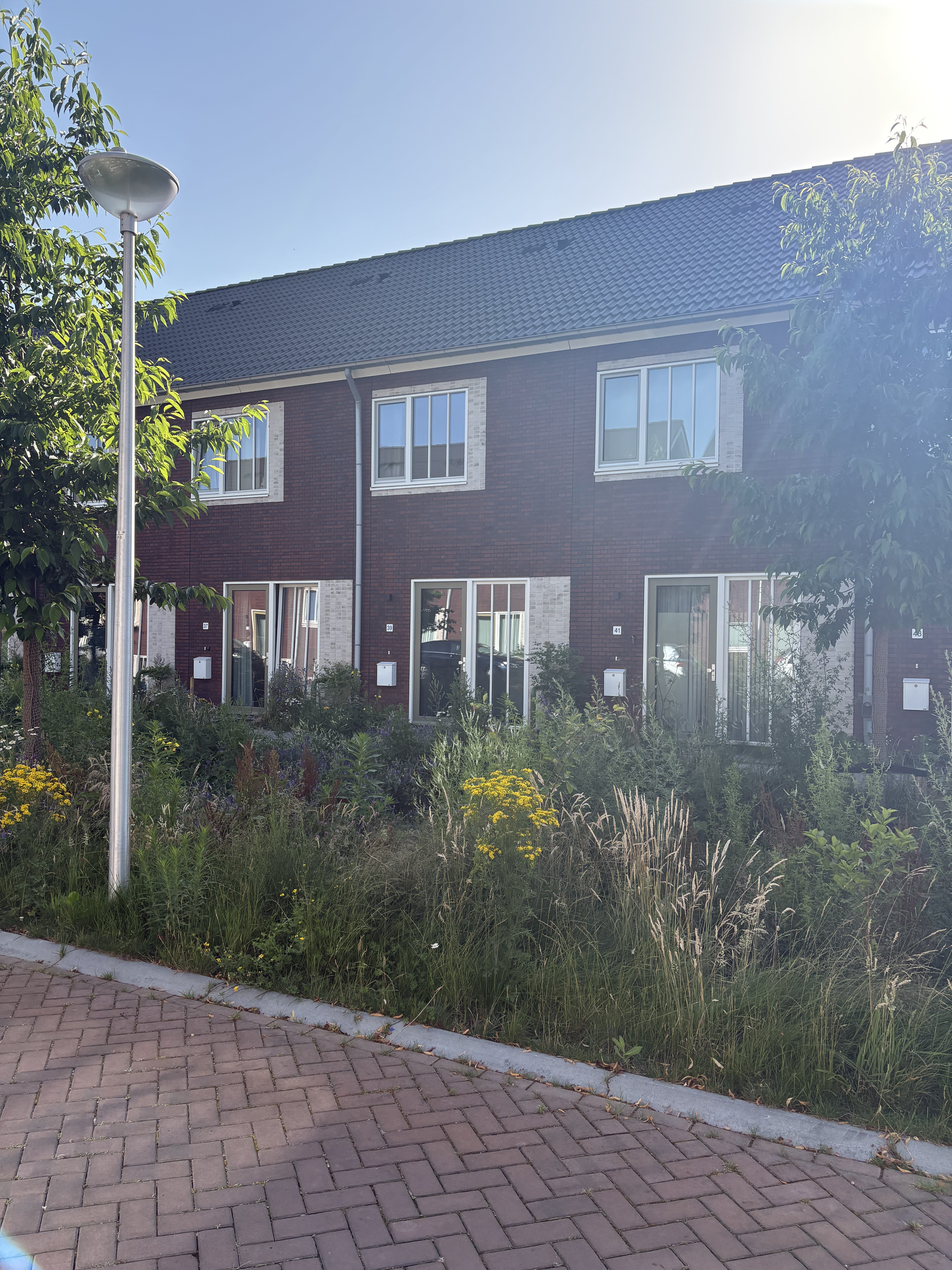 Antony Moddermanstraat 39, 5652 GG Eindhoven, Nederland