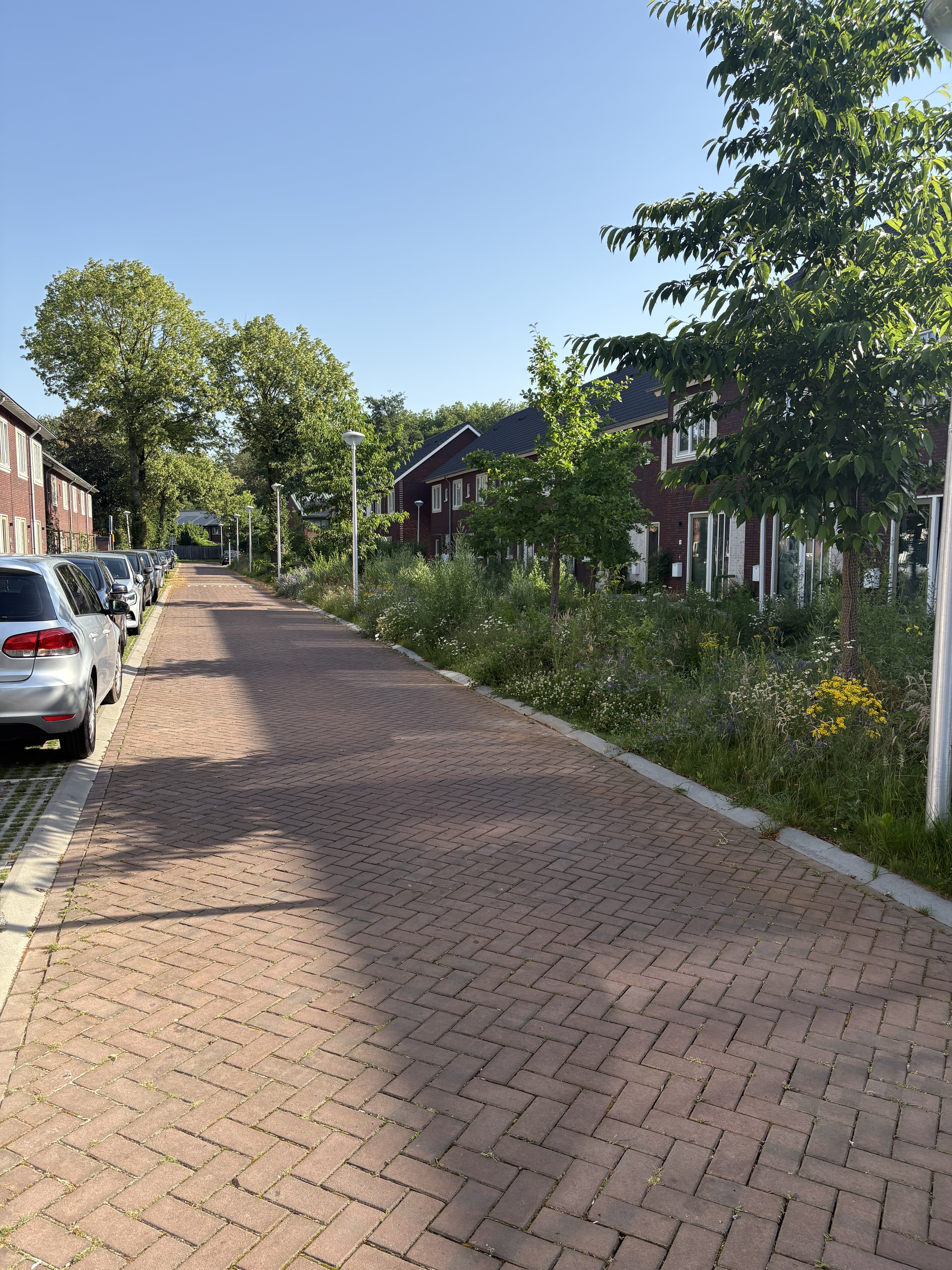 Antony Moddermanstraat 39