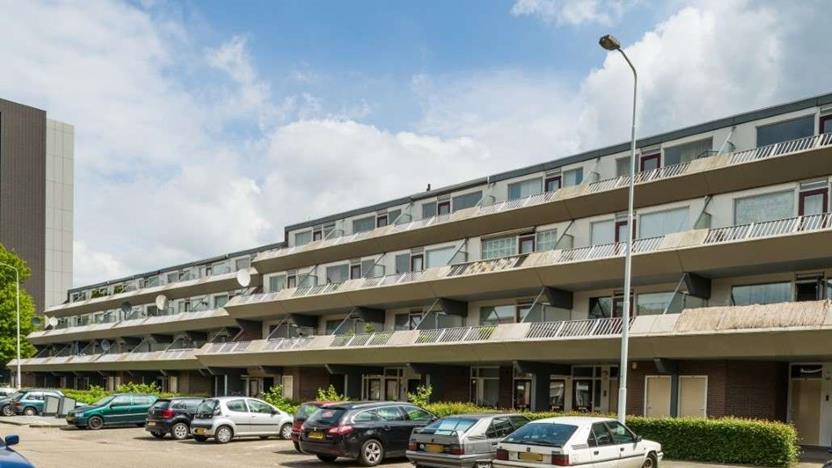 Pisanostraat 534