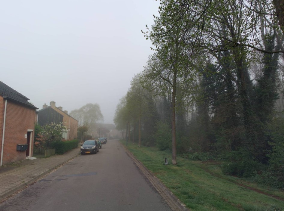 Windrecht 19