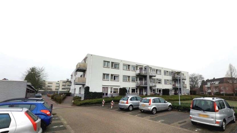 Schutsboom 8
