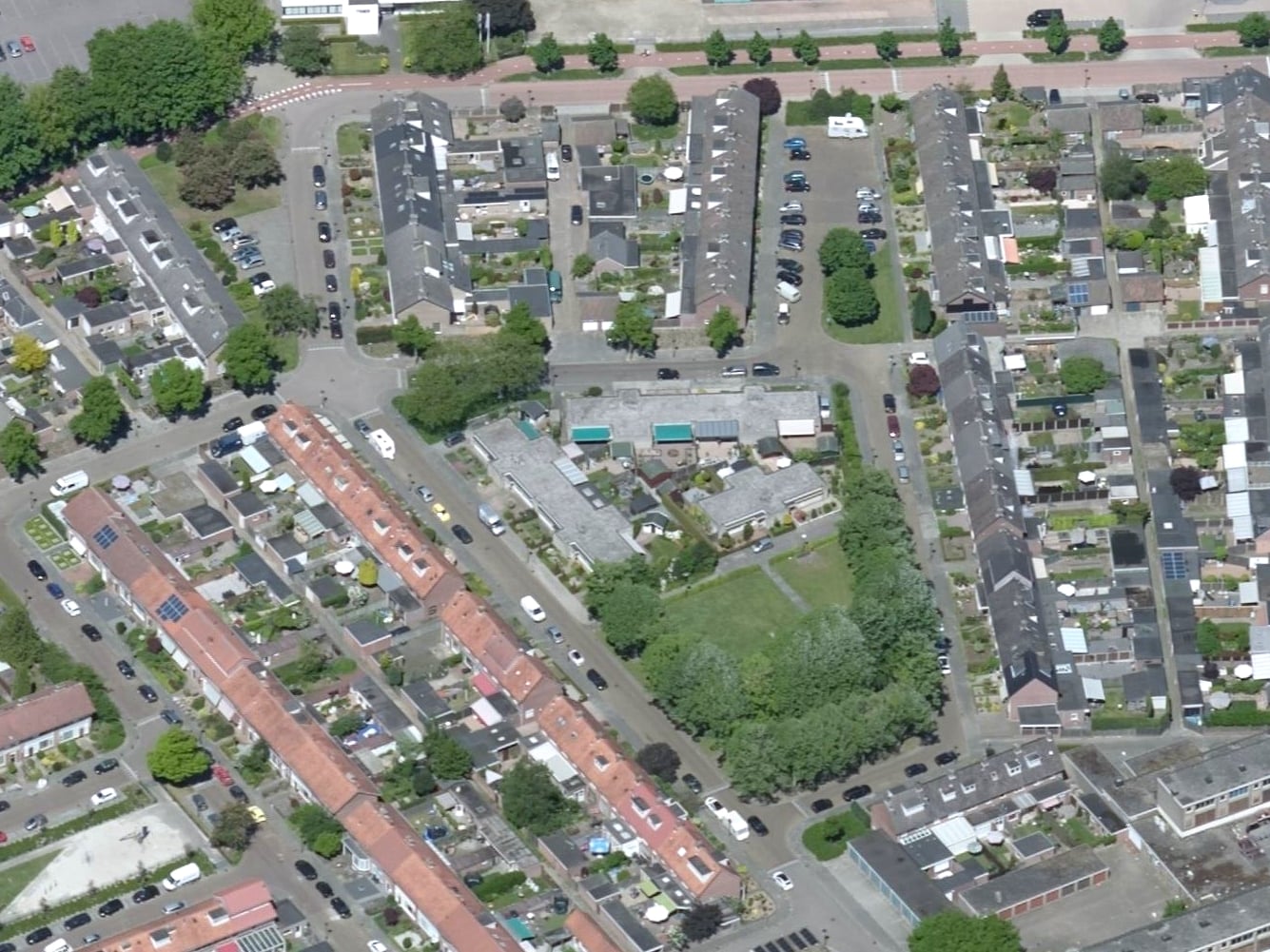 Wingerd 43