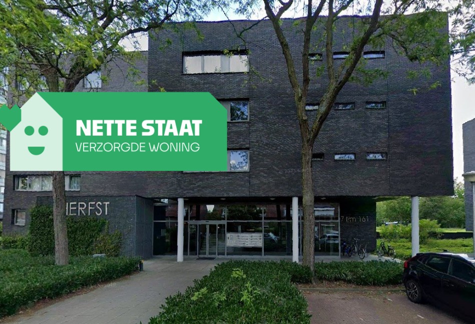 private-rentals for rent on Holstraat 139