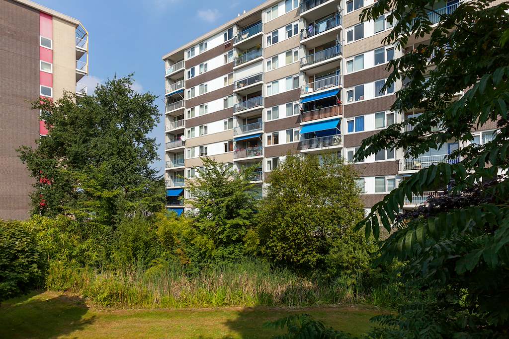Vaalserbergweg 181