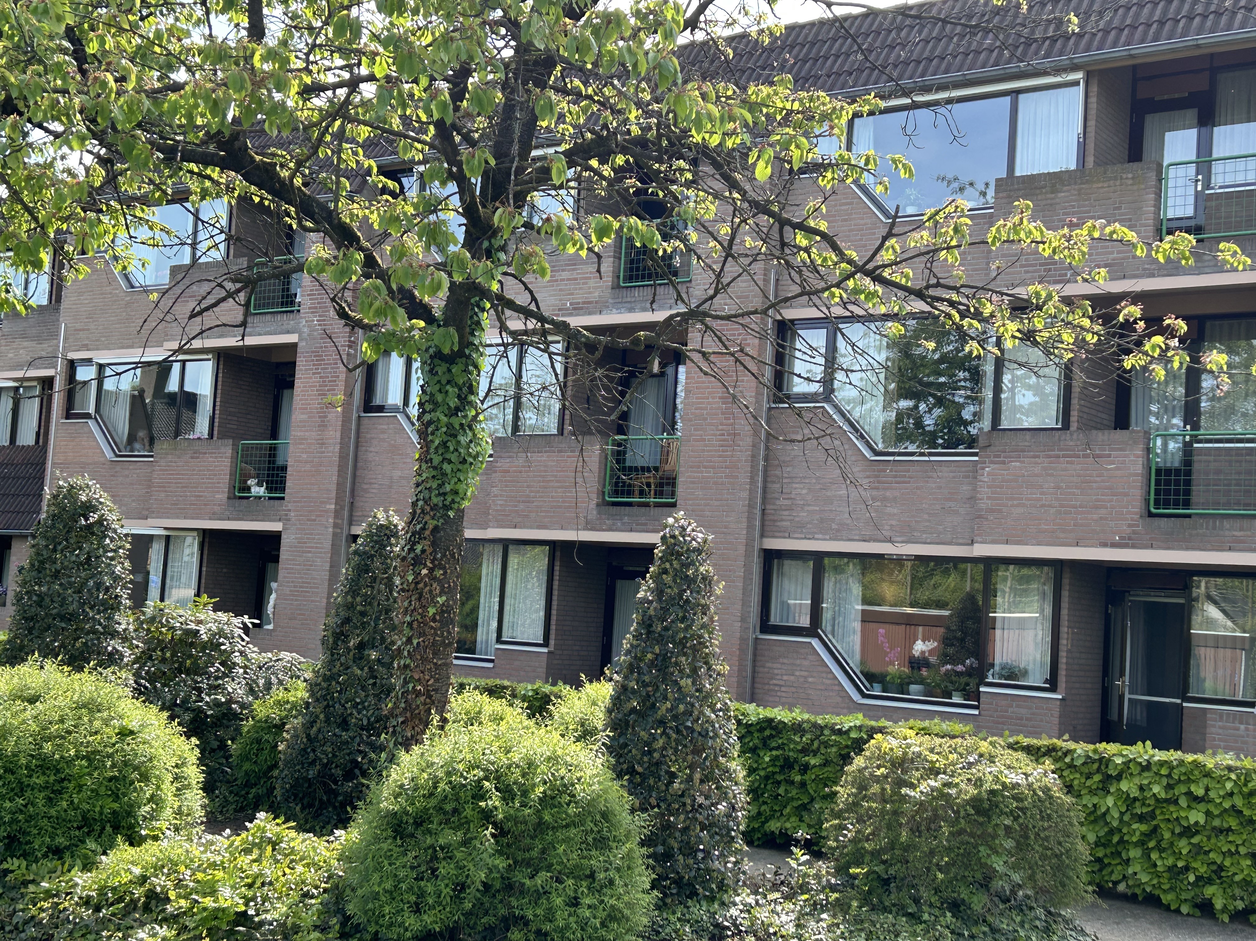 Hof 53, 5571 CB Bergeijk, Nederland
