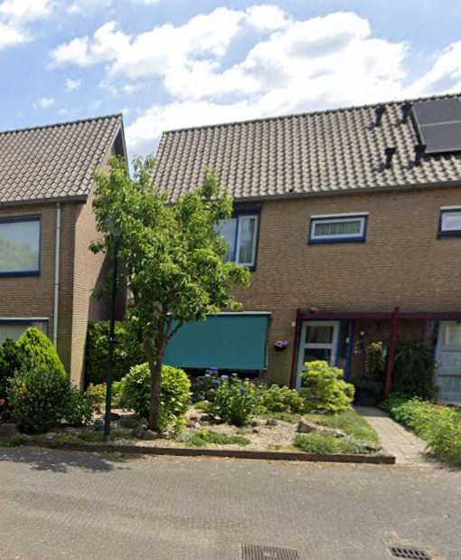 Lisdodde 13