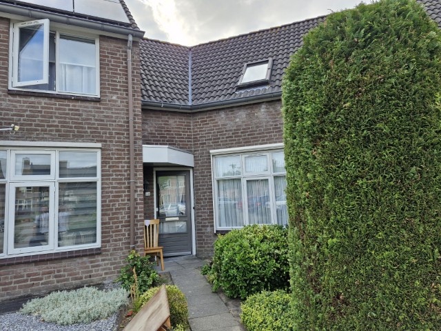 Horselaar 29