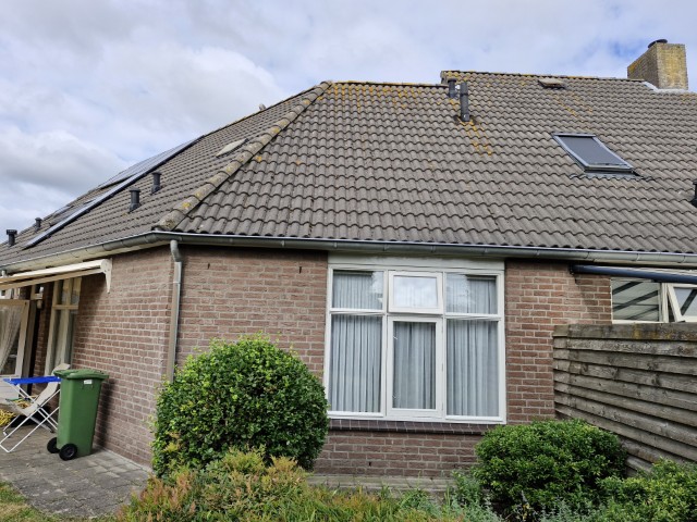 Horselaar 29