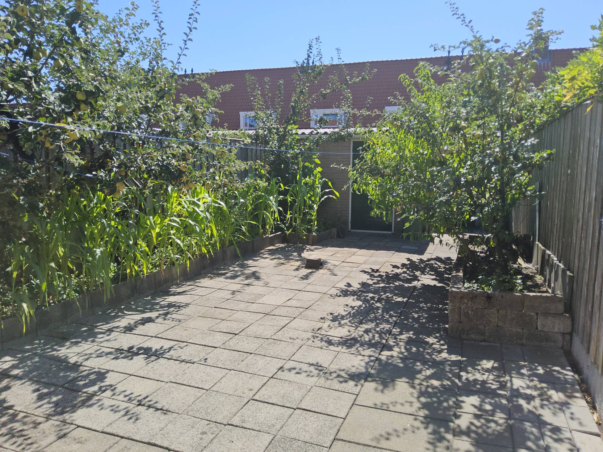 Dijksestraat 100