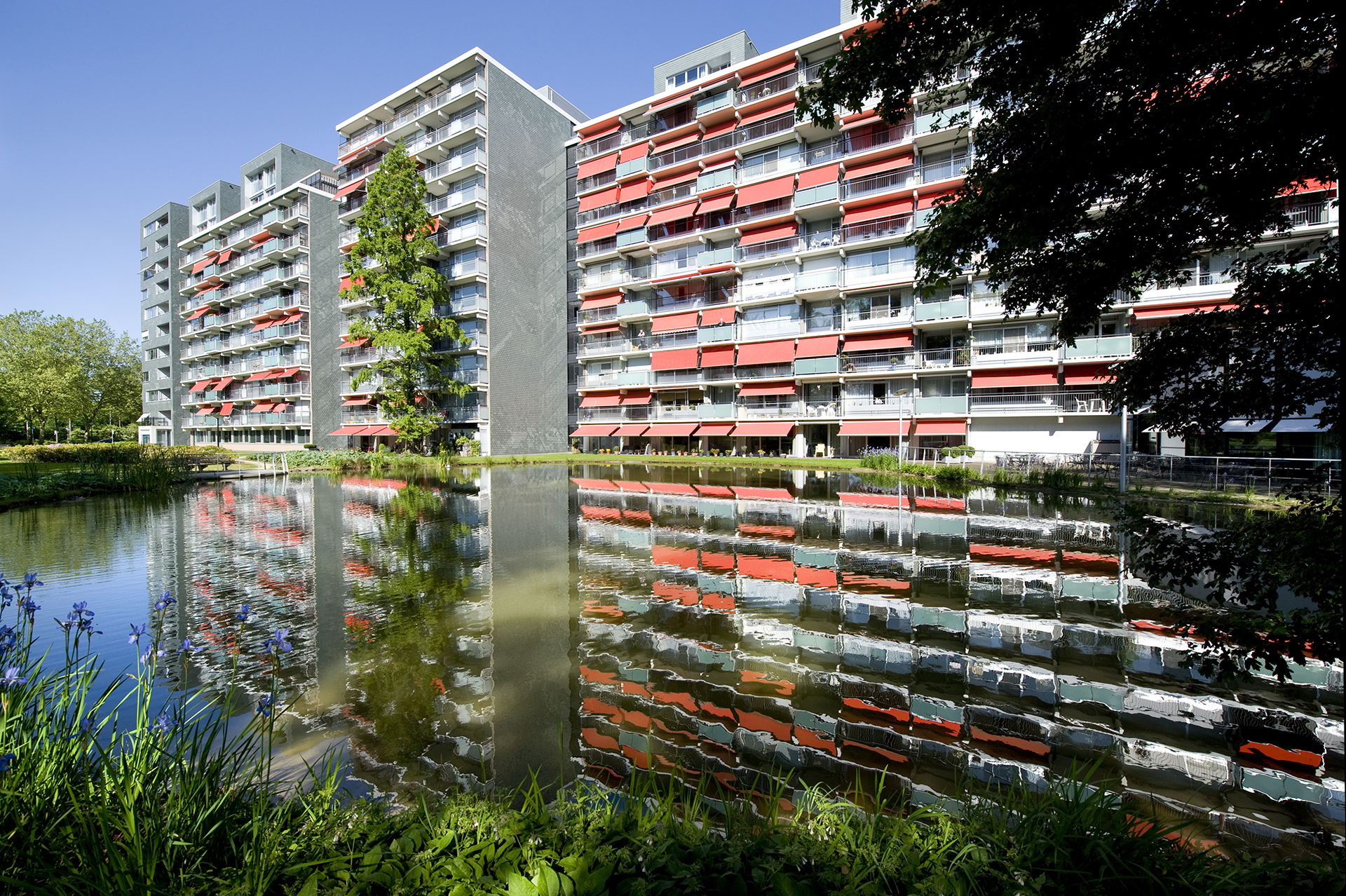 Herodotusplein 54