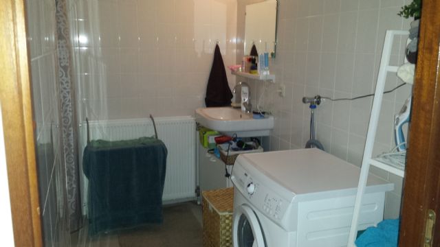 Pisanostraat 504