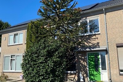 Weth. Lammersplantsoen 16 Budel-Schoot, Budel-Schoot