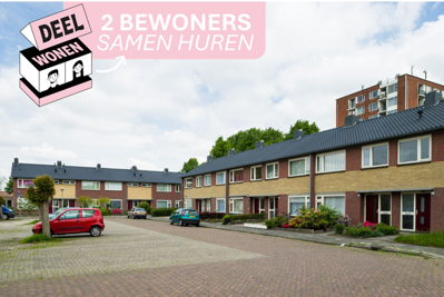 Pisanostraat 15 Eindhoven,
