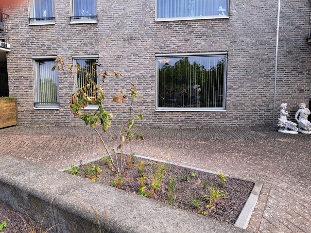 Roede 25, 5527 GP Hapert, Nederland